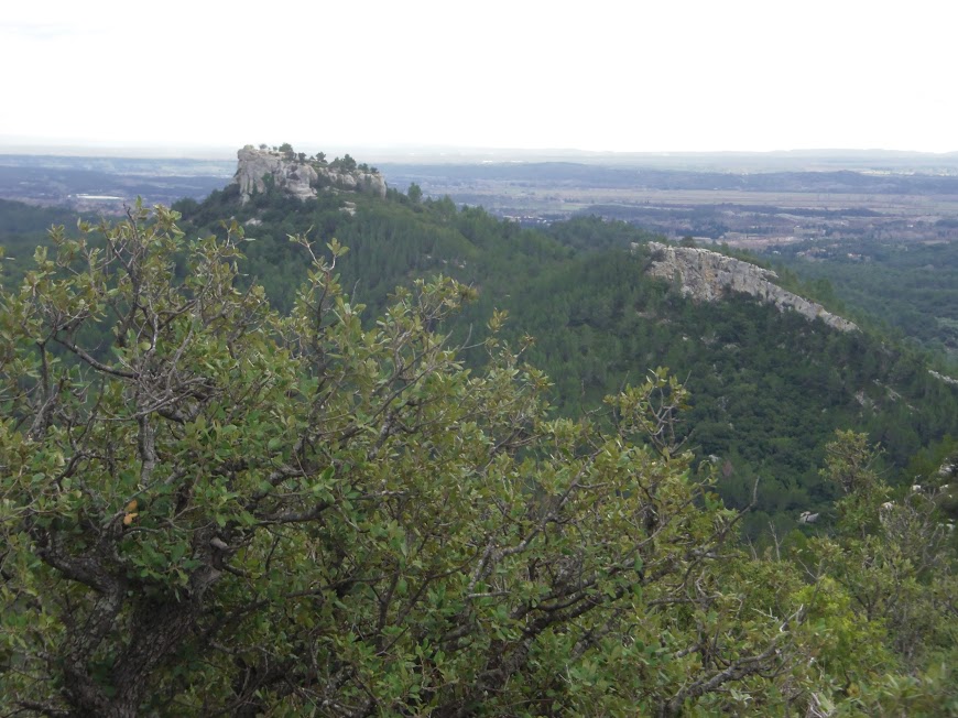 Les Alpilles  Vue sur le Mont Paon 10