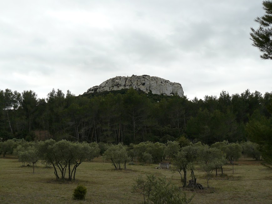 Les Alpilles Le Mont Valence 11