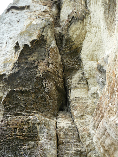 Les Alpilles  les falaises de la Lèque 14