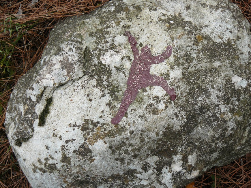 Les Alpilles  sur la piste des grimpeurs 15