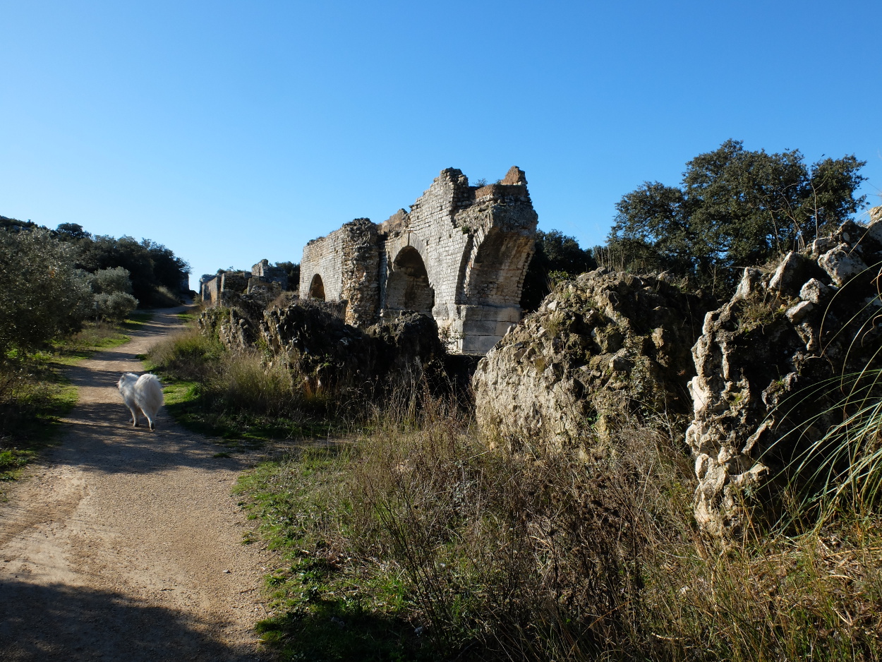 2014-02-11 Fontvieille Aqueduc de Barbegal