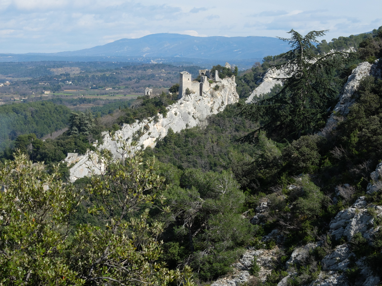 2014-03-25 Opede le vieux.