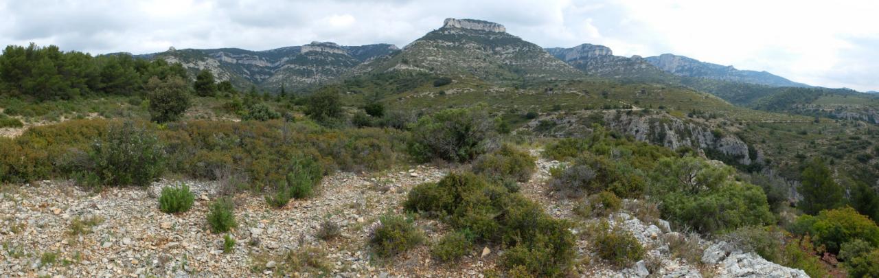 2014-04-22 Le Luberon Tete de buisses