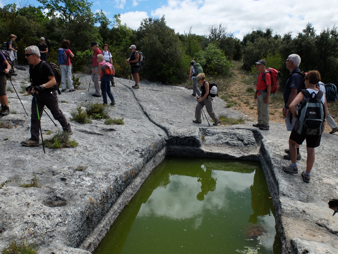 2014-05-27 Les Aiguiers de Villars Jas du Pin