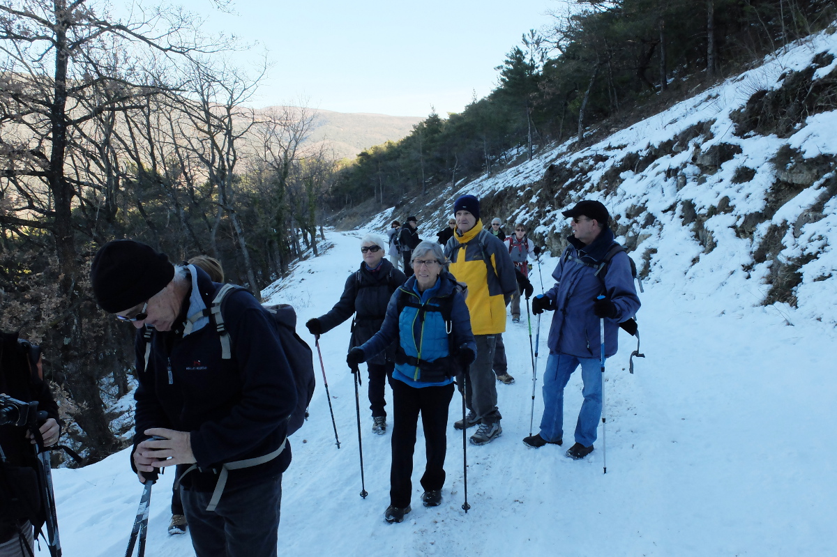 2015-2-10 1 Colorado Provencal