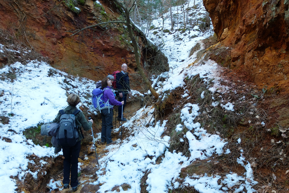 2015-2-10 3 Colorado Provencal