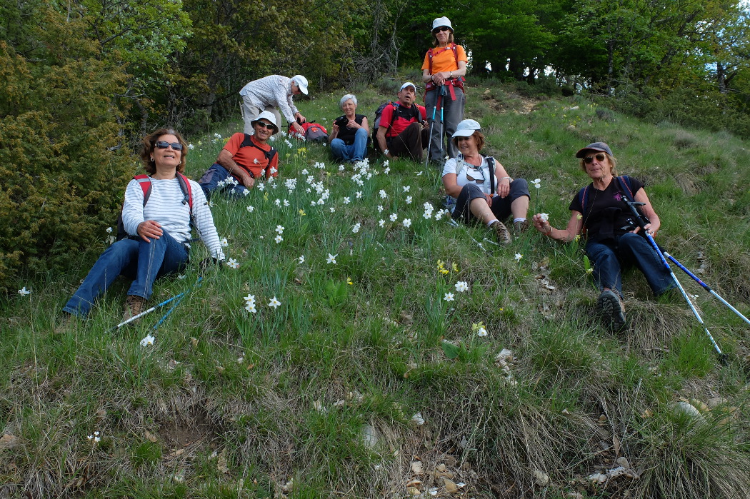 La crête de Vaumusse 17 mai 2016  Et pour finir la descente fleurie!!