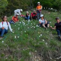 La crête de Vaumusse 17 mai 2016  Et pour finir la descente fleurie!!