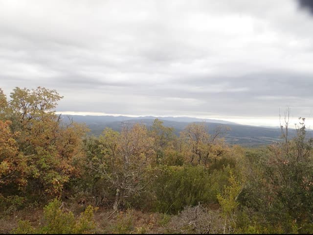 20221108 vitrollesluberon pasmarseille piedgros 12 1 