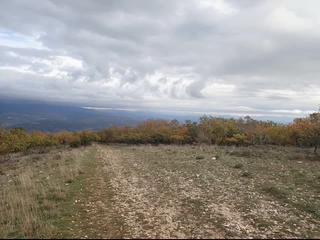 20221108 vitrollesluberon pasmarseille piedgros 16 1 