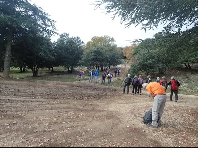 20221108 vitrollesluberon pasmarseille piedgros 17 1 