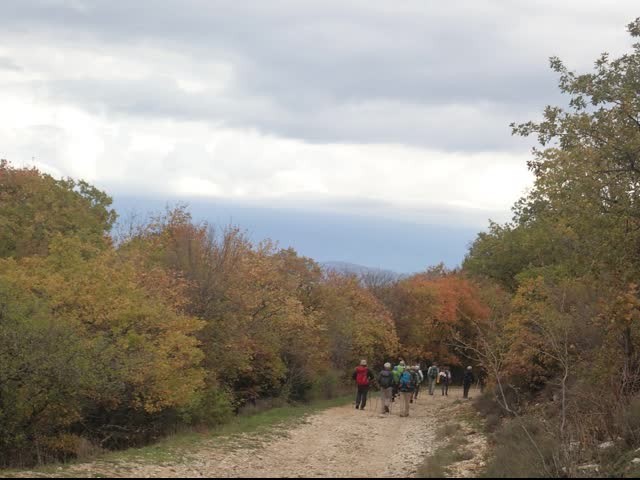 20221108 vitrollesluberon pasmarseille piedgros 26 1 