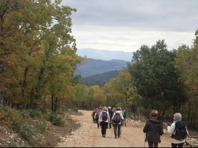 20221108 vitrollesluberon pasmarseille piedgros 33 1 