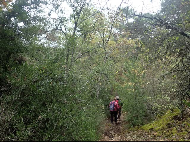 20221108 vitrollesluberon pasmarseille piedgros 34 1 