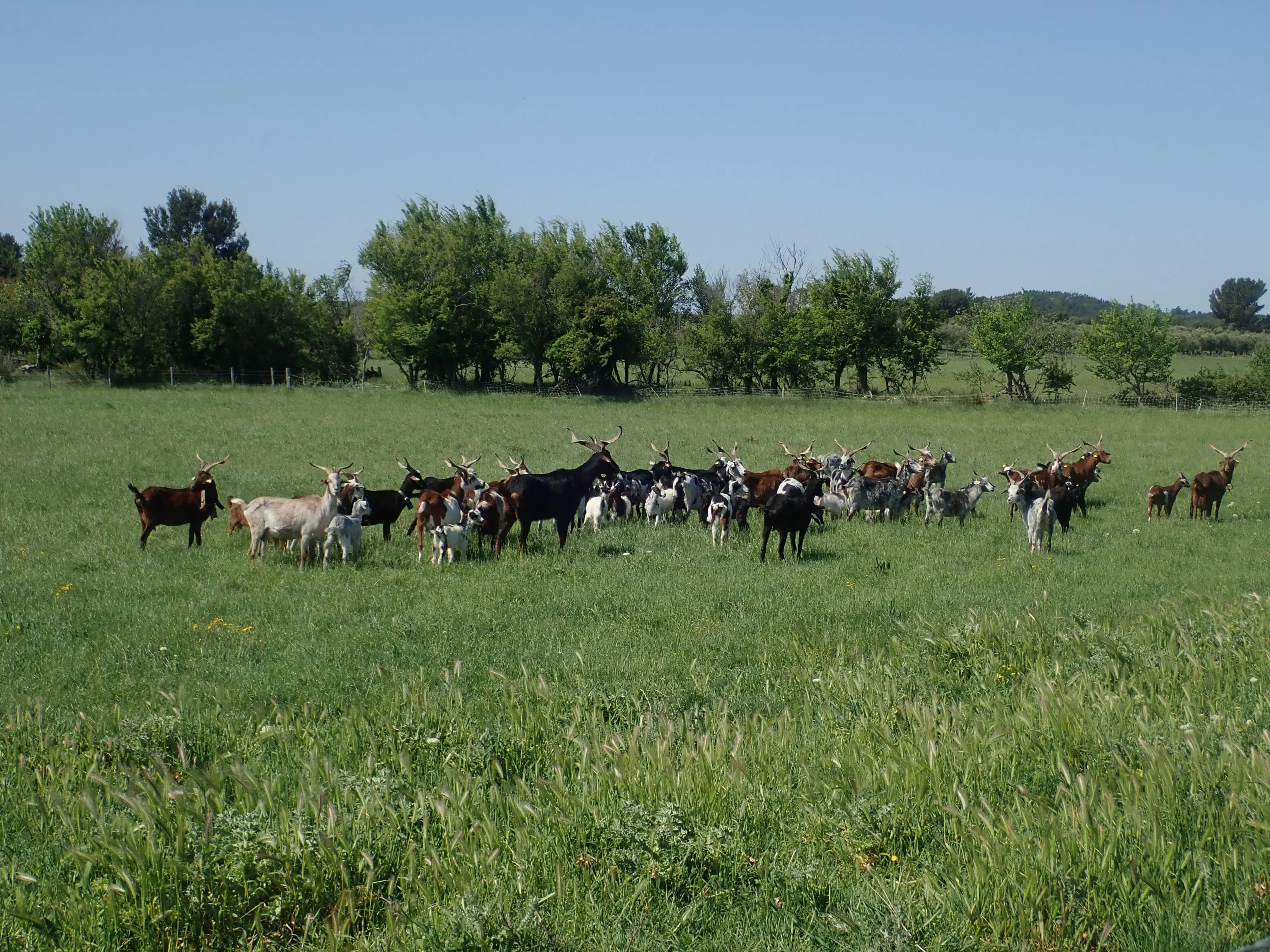 20260421 mouries canal caisses jps 111 