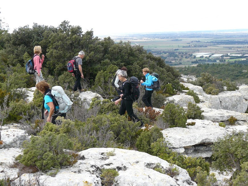 Les Alpilles   Au Mont Valence 9