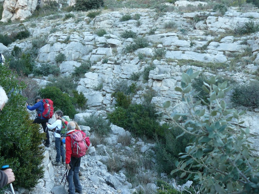 Alpilles: Les Opies c