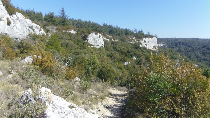 Le luberon -Cedres 6 Après la Roque des bancs   