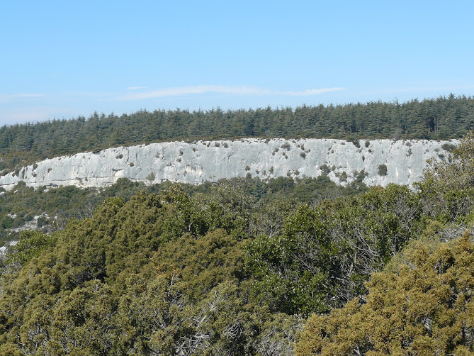 Le luberon -Cedres 10 Falaise de la Roque des Bancs 