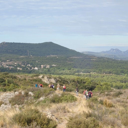 Charleval et les alpilles