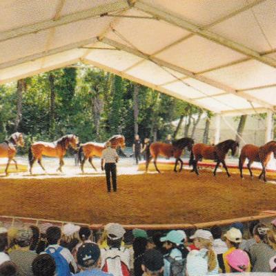 Piolenc au Parc du Cirque Gruss 29 juin 2017