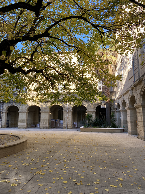 Faculte de droit