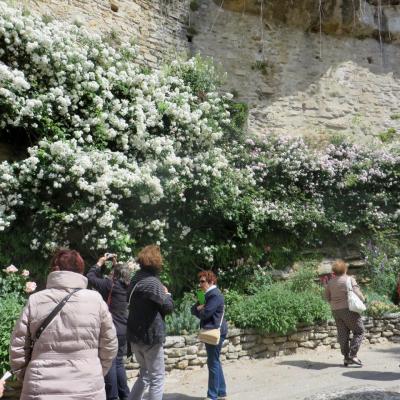 Une journée à GRIGNAN : Mai 2015