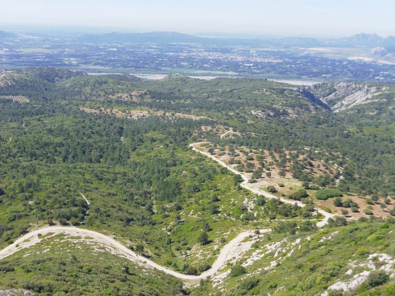 Valloncourt -Tête Buisse- Trou du rat 8