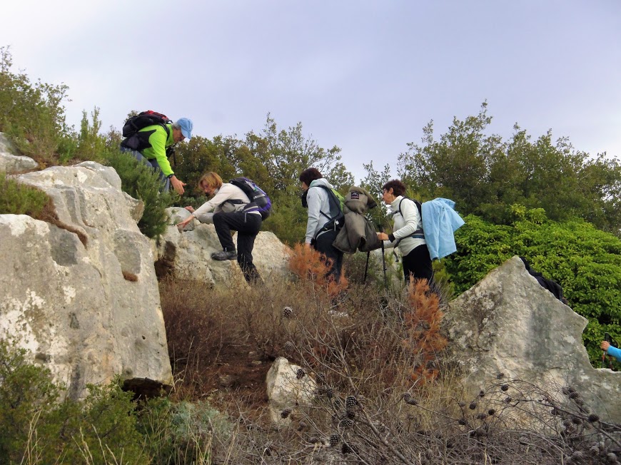 Les Alpilles18