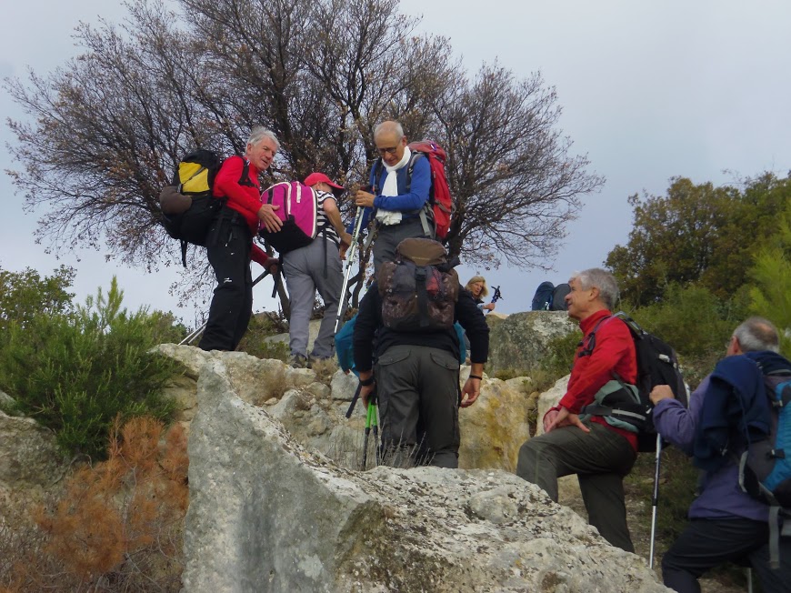 Les Alpilles 19