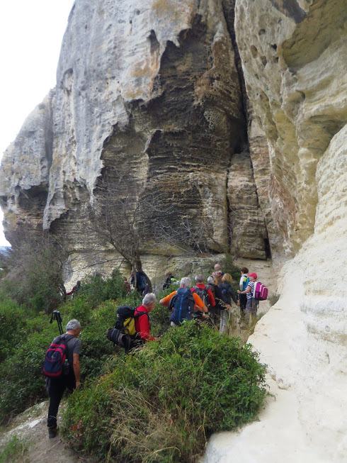 Les Alpilles 21