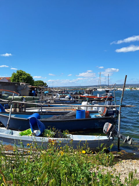 La pointe courte 1 