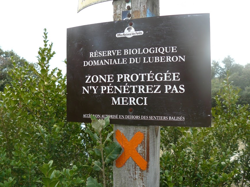 Luberon :Font de l'Orme- Bastidon du Pradon a  (29/11/2016)