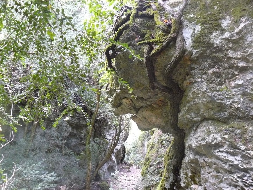 Luberon :Font de l'Orme- Bastidon du Pradon l