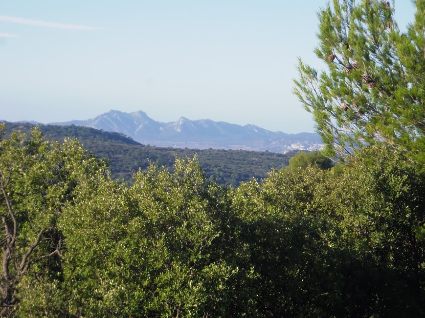 Luberon 3 avec  les Alpilles au fond