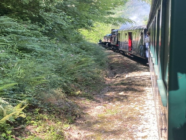 Train 14 