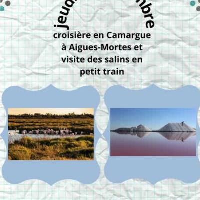 Affiche utd camargue site