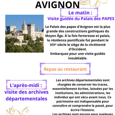 Avignon janv 2025 site
