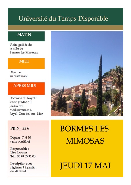 Bormes les mimosas