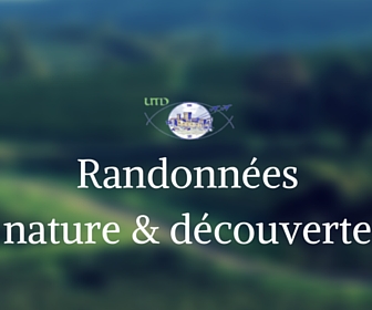 Randonnees nature et decouverte utd salon de provence