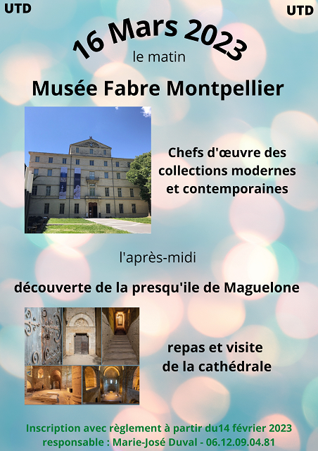 Visite pedestre du vieux montpellier site