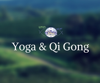 Yoga et qi gong utd salon de provence